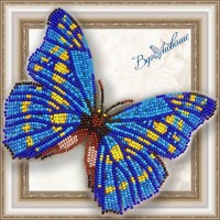 Набор для вышивки бисером бабочки «Морфо Киприда»